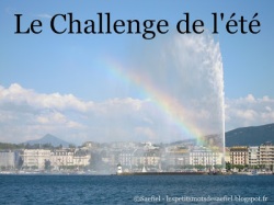 Challenge_de_l_e_te_